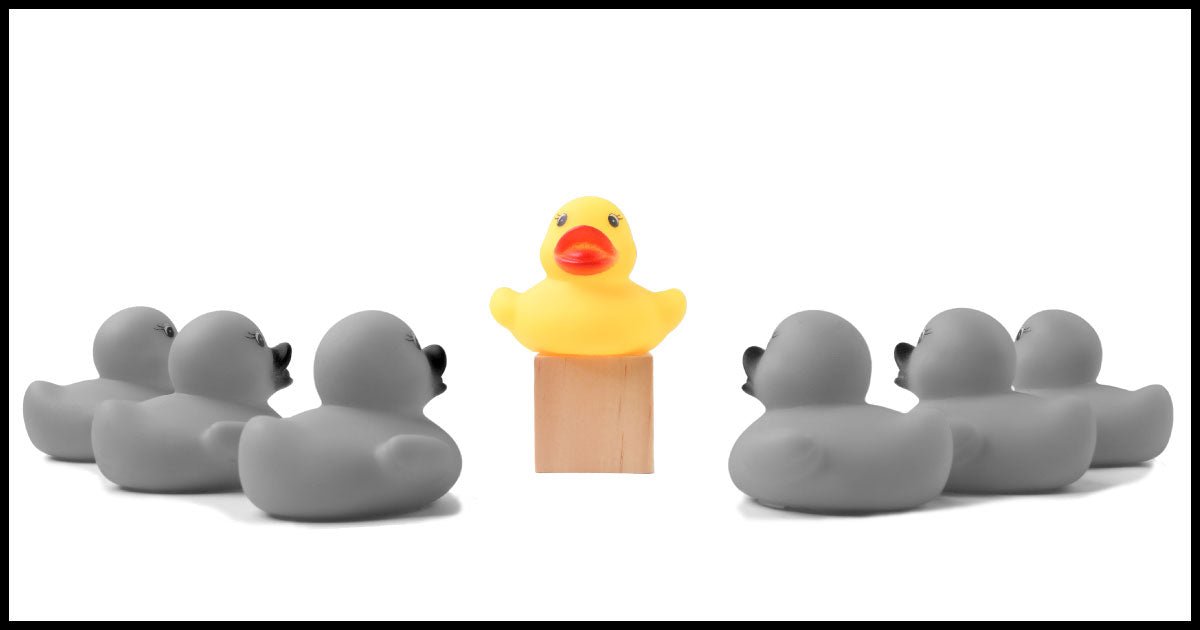 Guía: Cómo construir y liderar un equipo de alto rendimiento. - Mynimal
