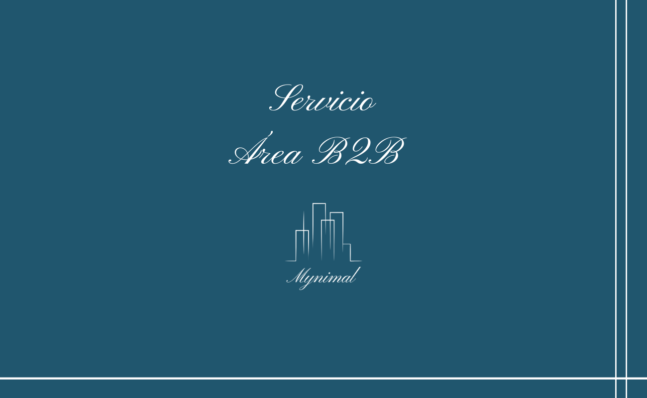 Servicio área B2B (primer pago 50%)